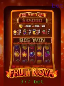 Explorando o Mundo de FruitNova e a Estratégia Vencedora 377 Bet