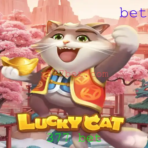 LuckyCat: Um Mergulho no Universo 377 Bet