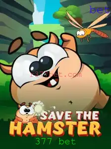 Descubra o Empolgante Mundo de SavetheHamster: O Jogo que Estão Todos Apostando com 377 Bet